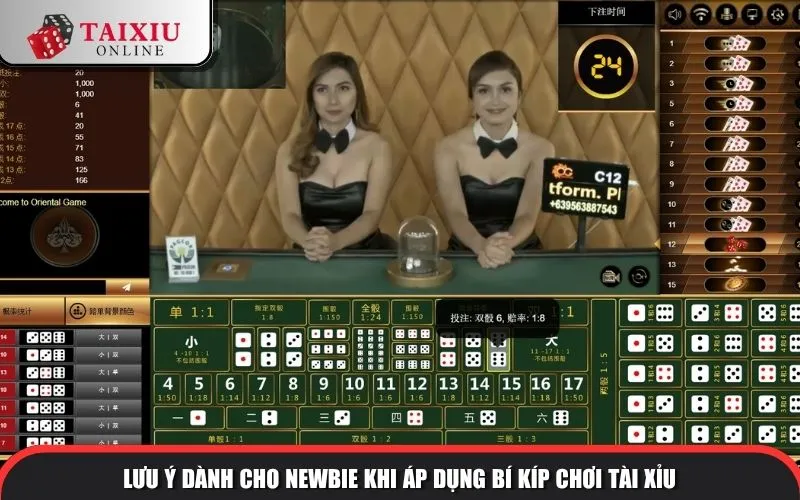 Lưu ý dành cho newbie khi áp dụng bí kíp chơi tài xỉu
