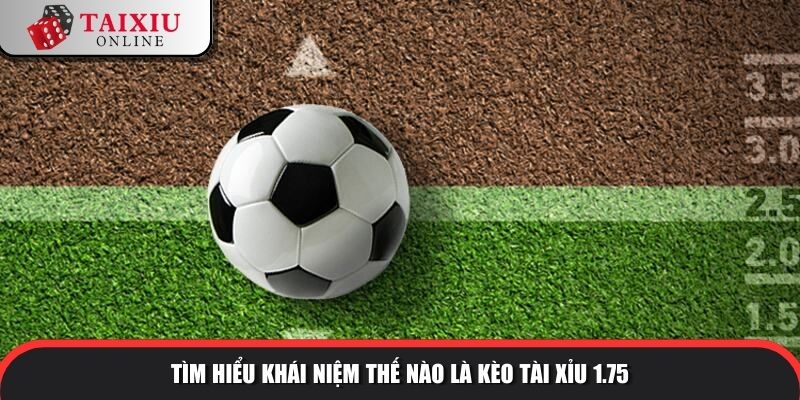 tai xiu 175 1 981 Tìm hiểu khái niệm thế nào là kèo tài xỉu 1.75